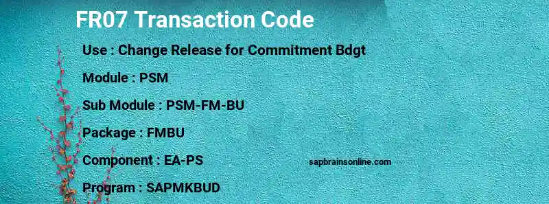 SAP FR07 transaction code