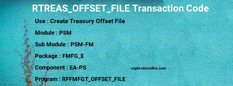 SAP RTREAS_OFFSET_FILE transaction code