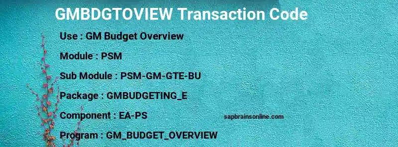 SAP GMBDGTOVIEW transaction code