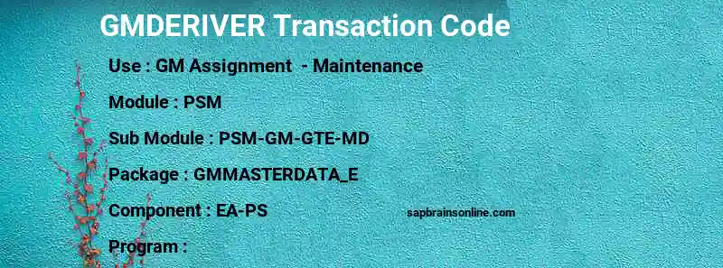 SAP GMDERIVER transaction code