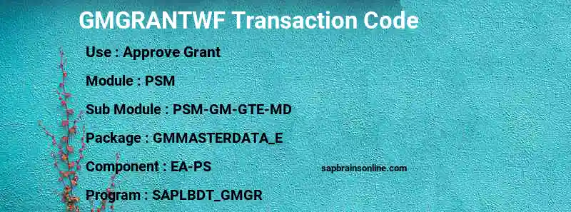 SAP GMGRANTWF transaction code