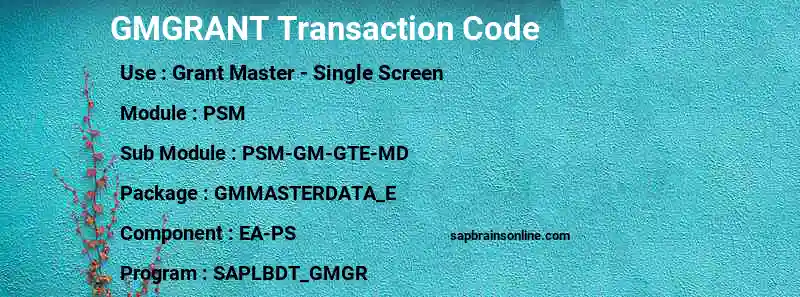 SAP GMGRANT transaction code