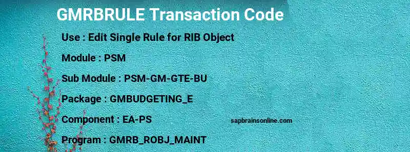 SAP GMRBRULE transaction code