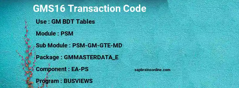 SAP GMS16 transaction code