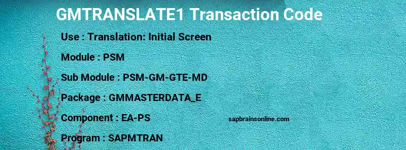 SAP GMTRANSLATE1 transaction code