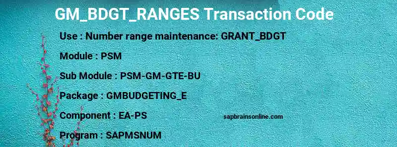 SAP GM_BDGT_RANGES transaction code