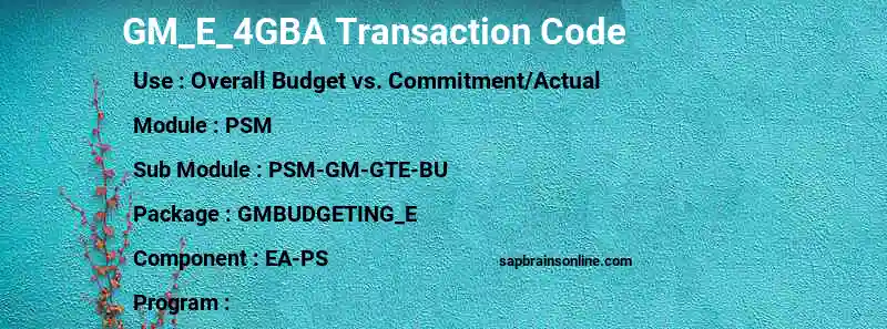 SAP GM_E_4GBA transaction code