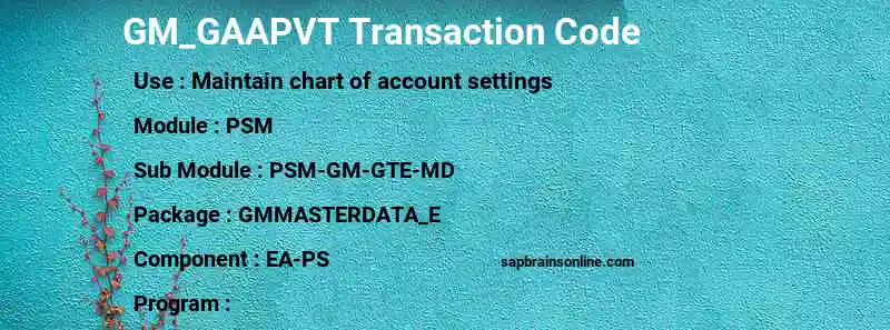 SAP GM_GAAPVT transaction code