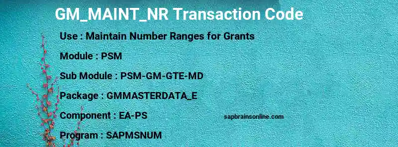 SAP GM_MAINT_NR transaction code