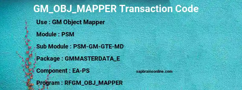 SAP GM_OBJ_MAPPER transaction code