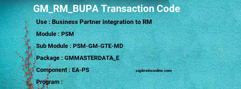 SAP GM_RM_BUPA transaction code