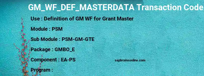 SAP GM_WF_DEF_MASTERDATA transaction code