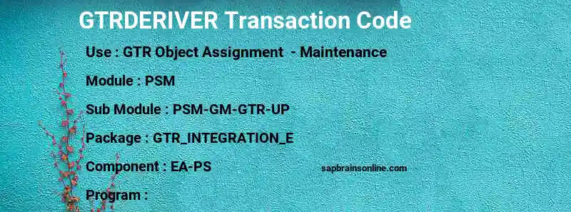 SAP GTRDERIVER transaction code