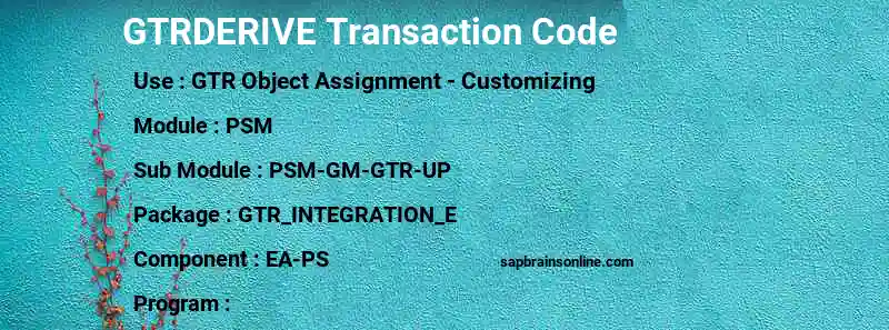 SAP GTRDERIVE transaction code