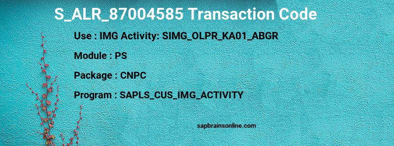 SAP S_ALR_87004585 transaction code
