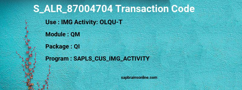 SAP S_ALR_87004704 transaction code