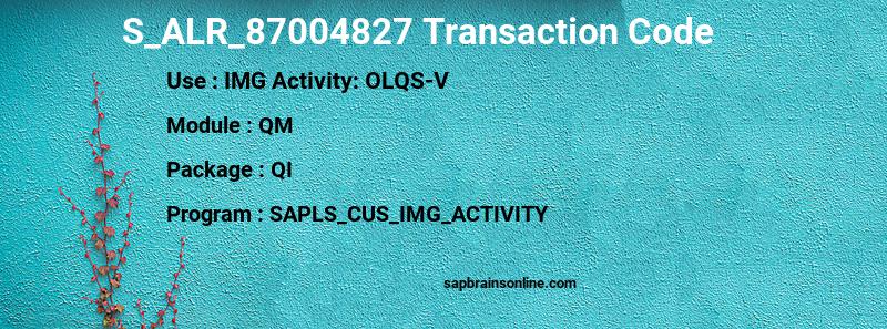 SAP S_ALR_87004827 transaction code