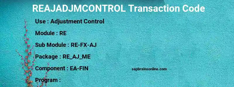 SAP REAJADJMCONTROL transaction code