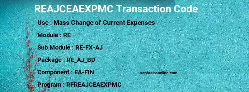SAP REAJCEAEXPMC transaction code
