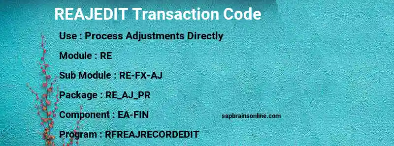 SAP REAJEDIT transaction code