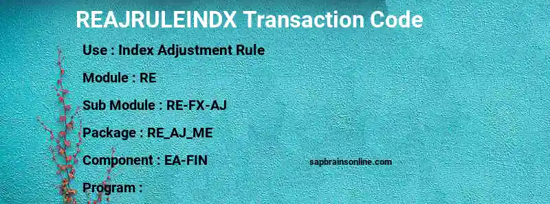 SAP REAJRULEINDX transaction code