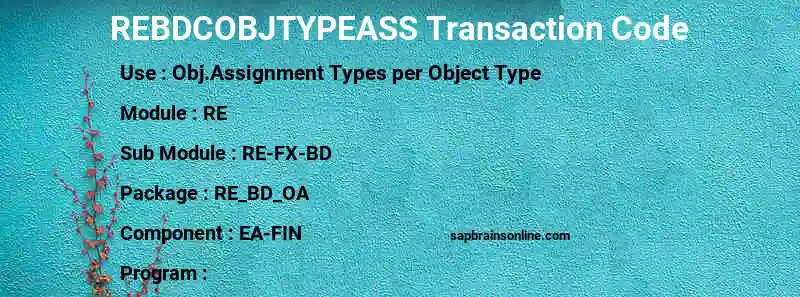 SAP REBDCOBJTYPEASS transaction code