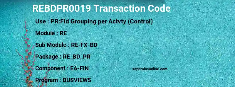 SAP REBDPR0019 transaction code