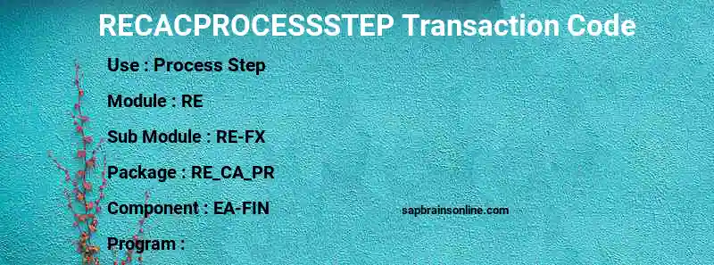 SAP RECACPROCESSSTEP transaction code