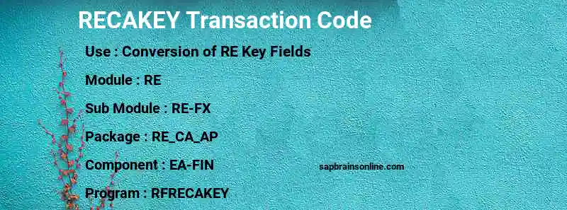SAP RECAKEY transaction code