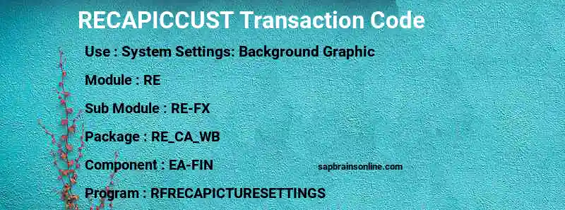 SAP RECAPICCUST transaction code