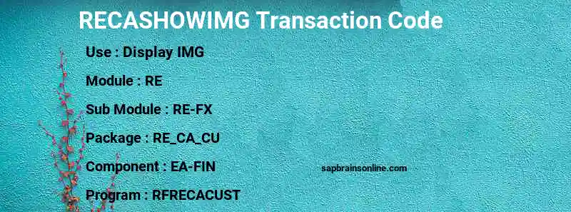 SAP RECASHOWIMG transaction code