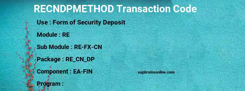 SAP RECNDPMETHOD transaction code