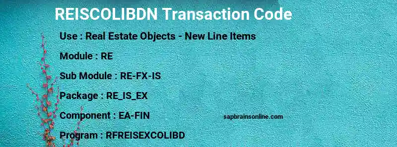 SAP REISCOLIBDN transaction code