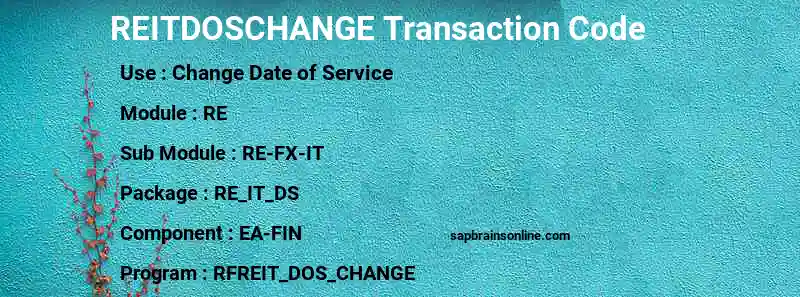 SAP REITDOSCHANGE transaction code