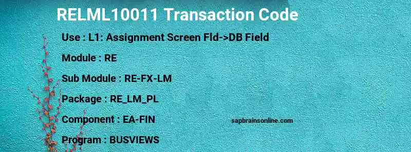 SAP RELML10011 transaction code