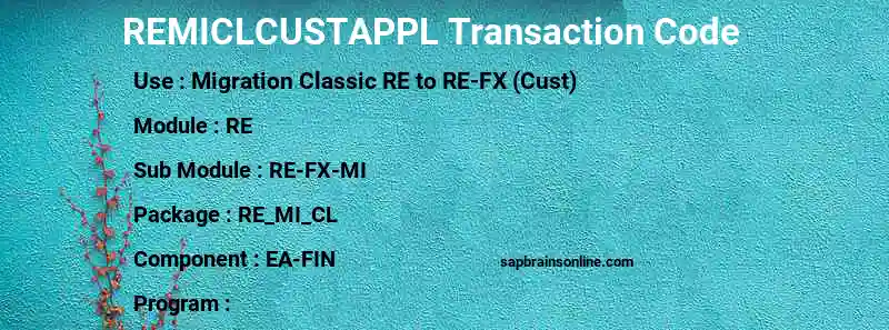 SAP REMICLCUSTAPPL transaction code