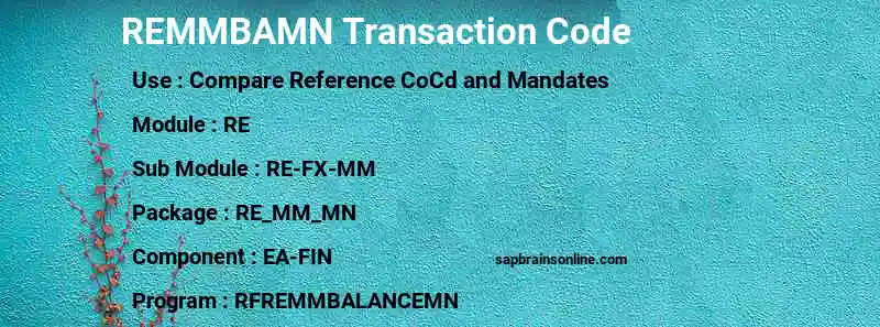SAP REMMBAMN transaction code