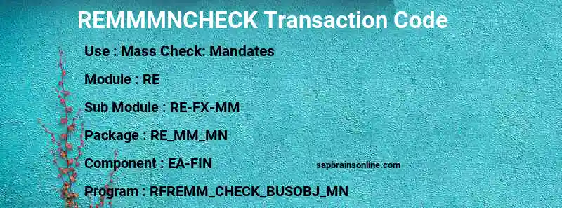 SAP REMMMNCHECK transaction code