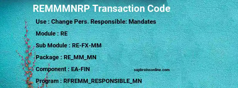 SAP REMMMNRP transaction code