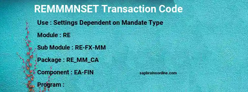 SAP REMMMNSET transaction code