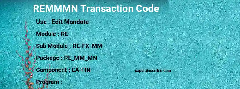 SAP REMMMN transaction code