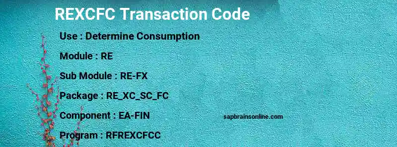 SAP REXCFC transaction code
