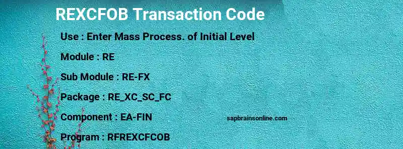 SAP REXCFOB transaction code