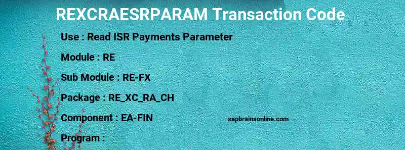 SAP REXCRAESRPARAM transaction code