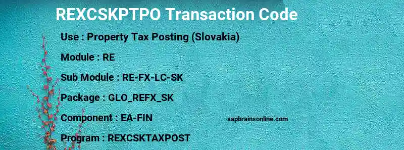 SAP REXCSKPTPO transaction code