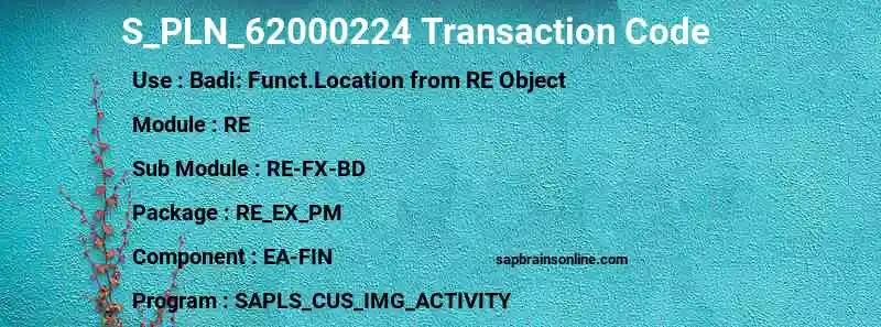 SAP S_PLN_62000224 transaction code
