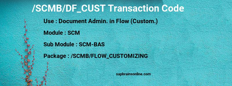 SAP /SCMB/DF_CUST transaction code