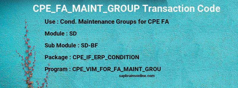 SAP CPE_FA_MAINT_GROUP transaction code
