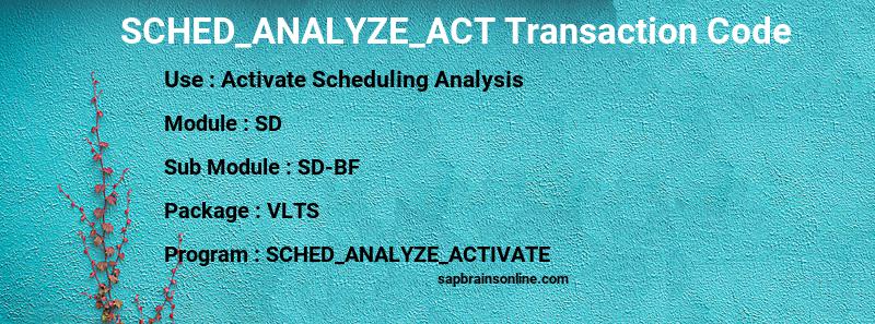 SAP SCHED_ANALYZE_ACT transaction code