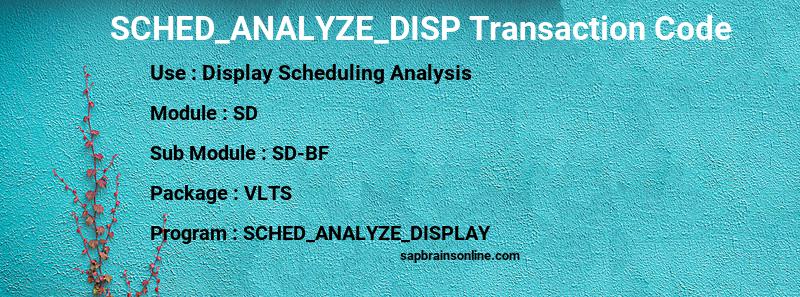 SAP SCHED_ANALYZE_DISP transaction code